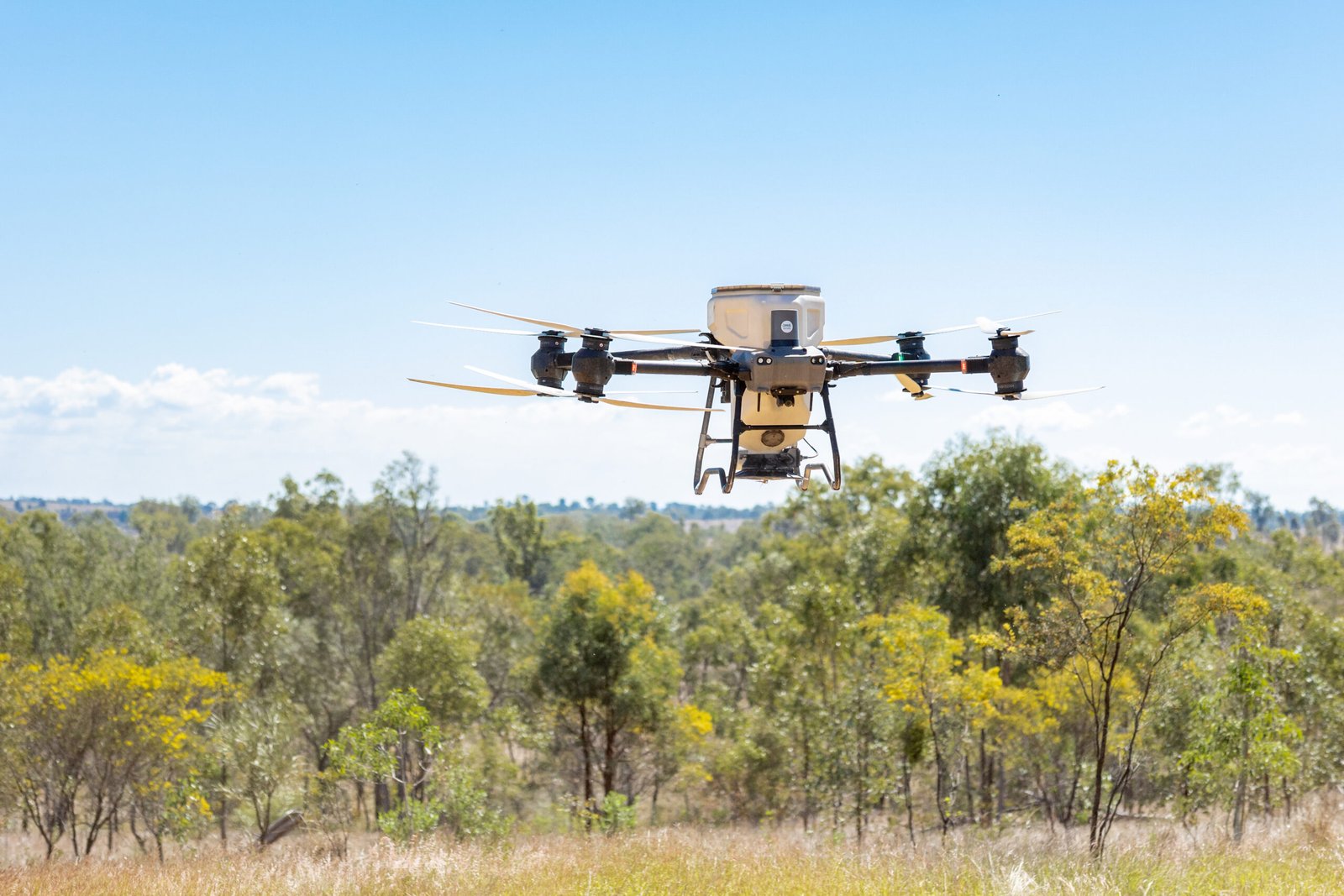 Glenrock Gallary Photo shoot ECD 2025 (100)