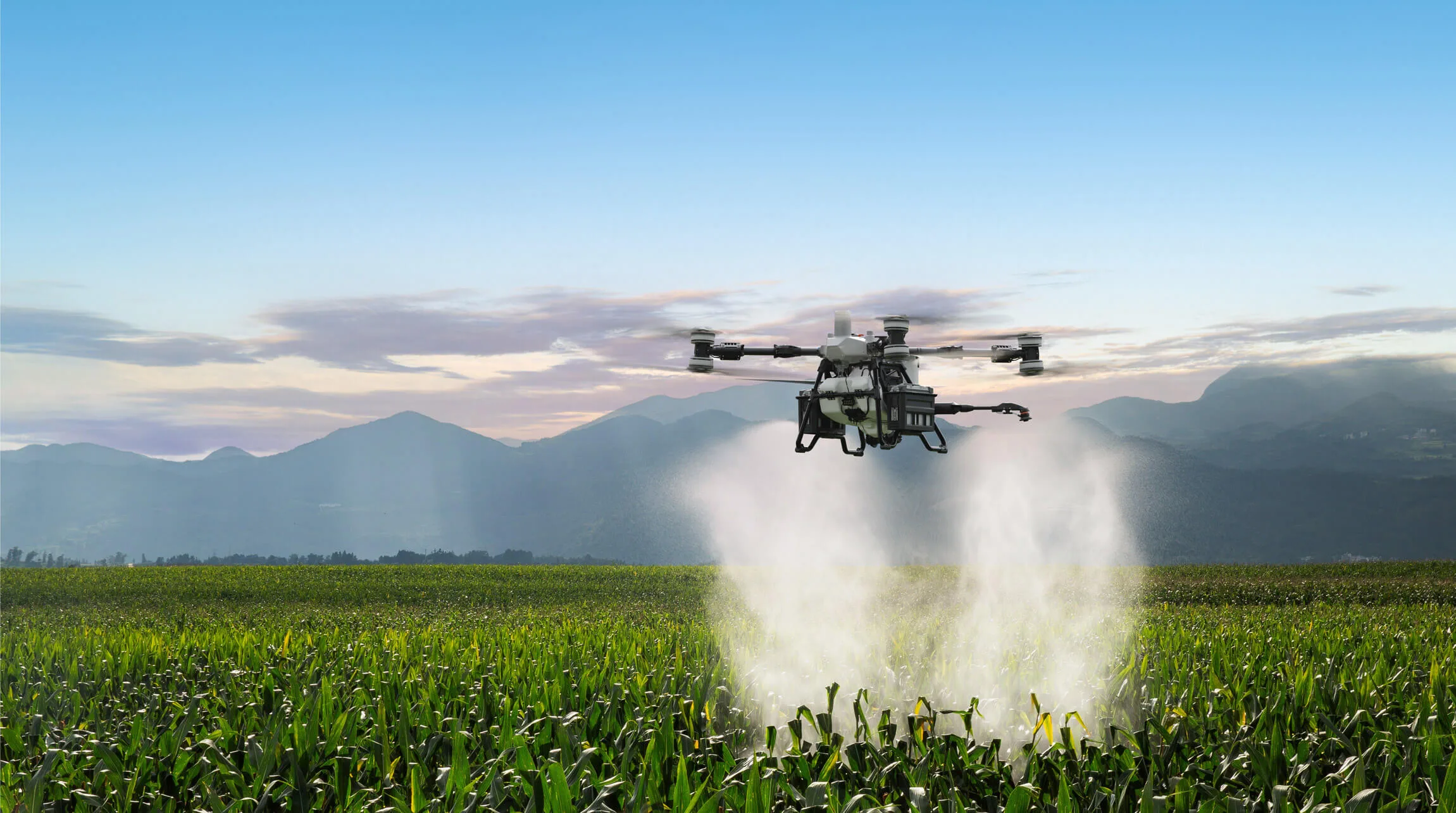 DJI Agras T100 spraying a broad-acre crop field