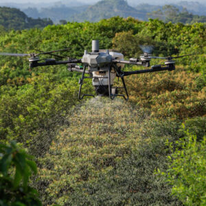 DJI Agras T70P spreading system in the field