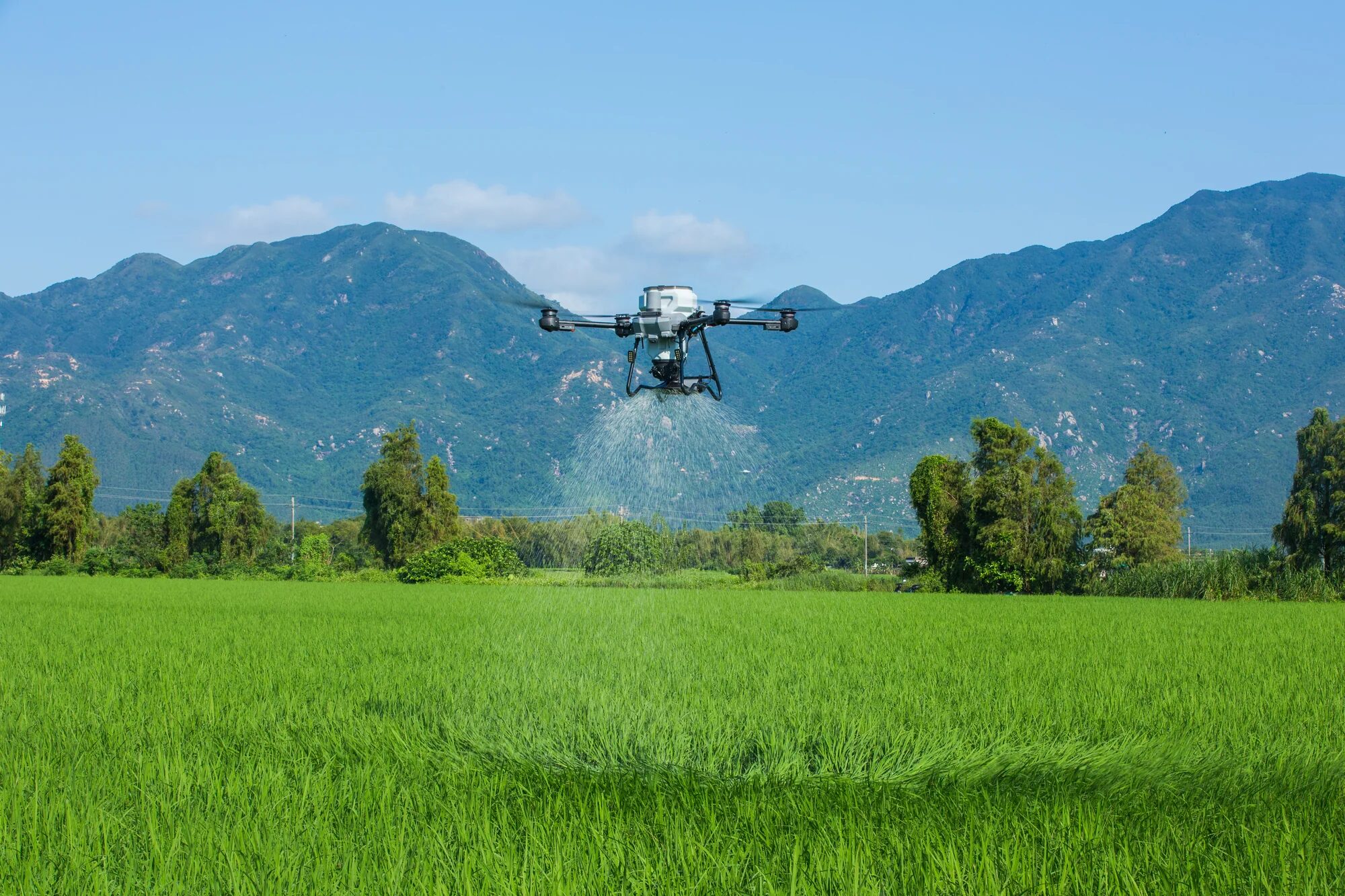 DJI Agras T25P applying material over a crop