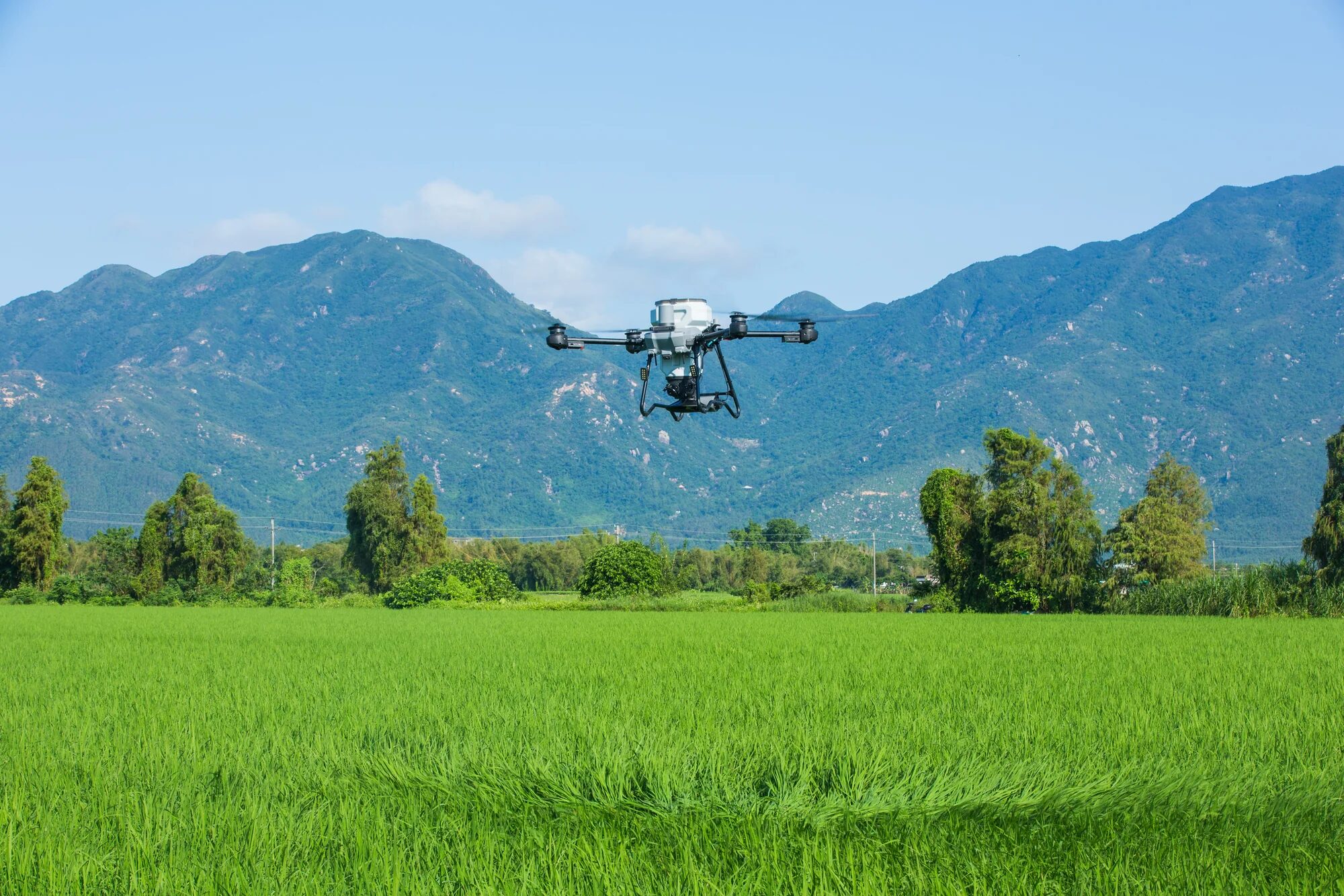 DJI Agras T25P operating above a green field