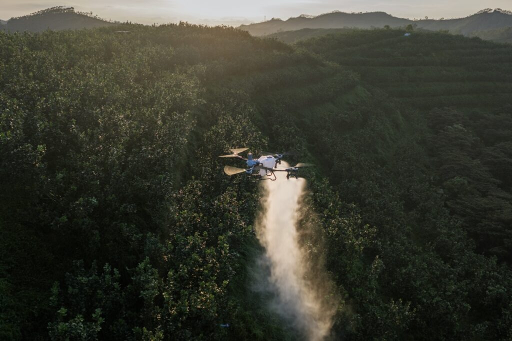 DJI Agras T55 spraying between rows of trees on a hillside orchard, seen from above