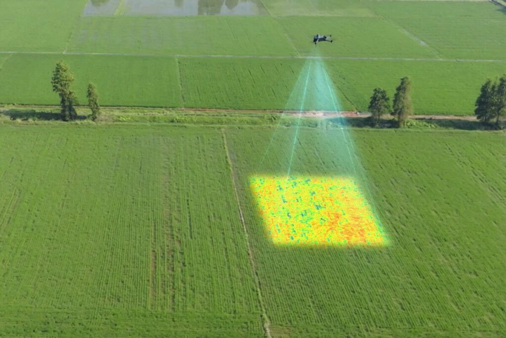 Mavic 3 Multispectral scanning a crop field with a multispectral map overlay