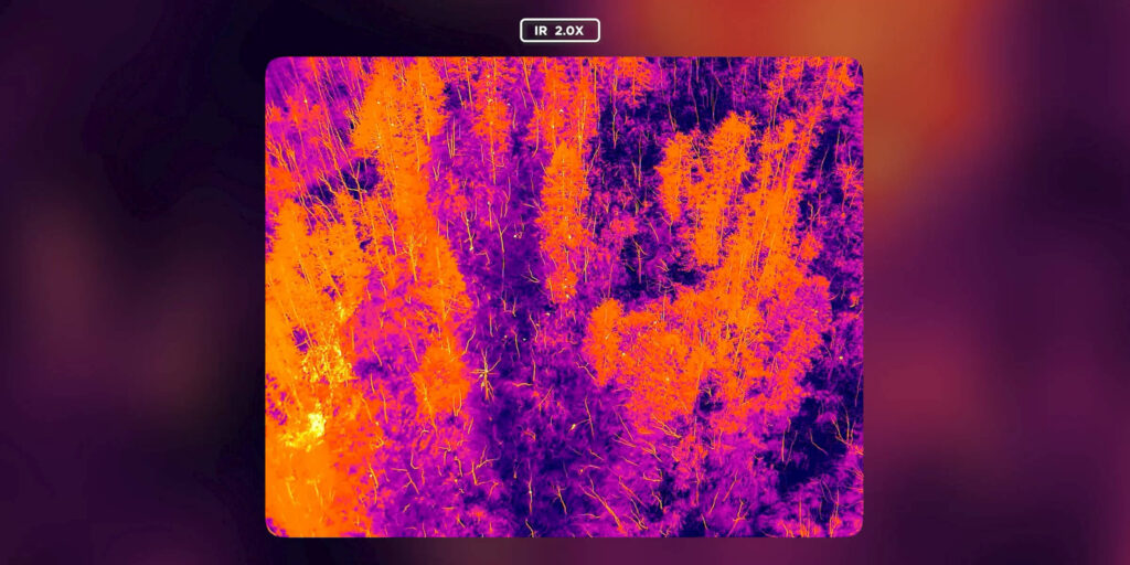 Thermal palette image of vegetation captured with the Zenmuse H30T
