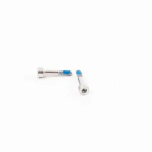DJI Agras T100 Screw (M40-HC02000100-072040-5103-Y) Spreading system